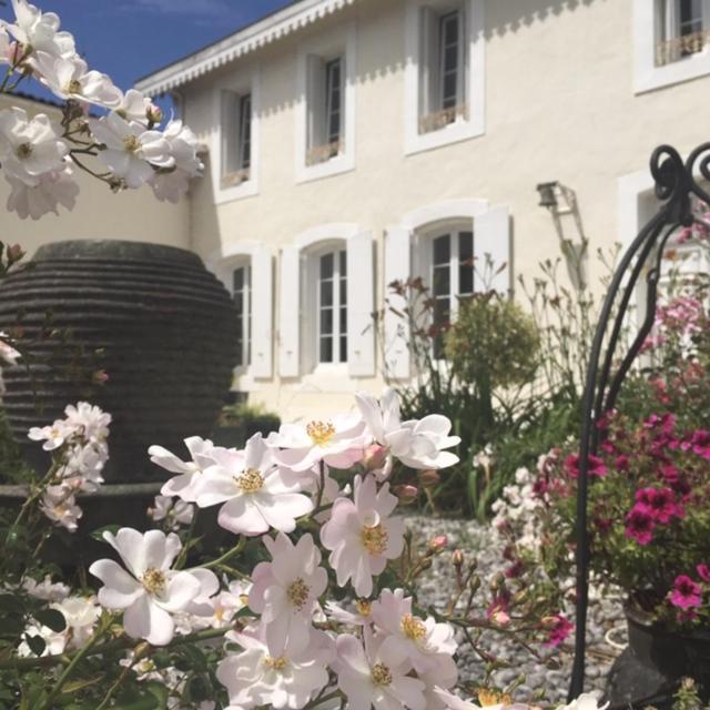 Maison D'Hotes Lassaubatju Hontanx Екстер'єр фото